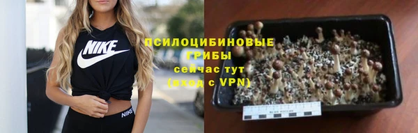 ешки Медвежьегорск