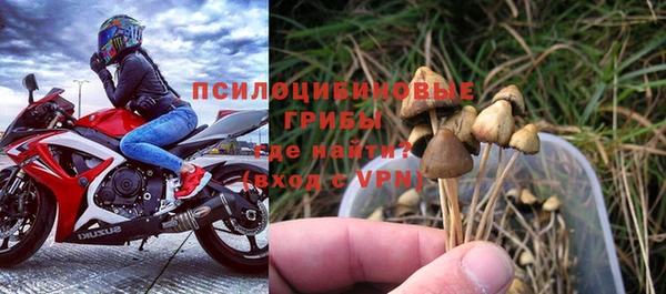 тгк Мегион